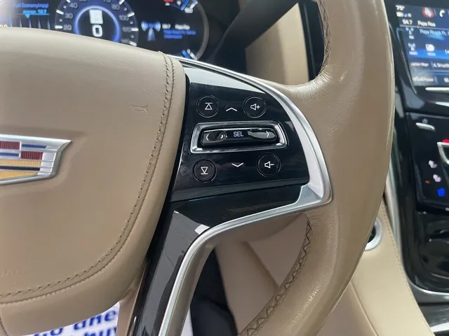 2019 Cadillac Escalade Platinum Edition
