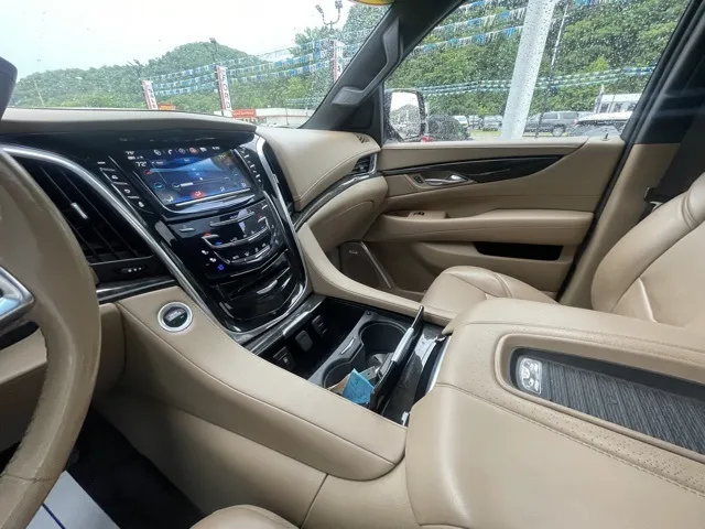 2019 Cadillac Escalade Platinum Edition